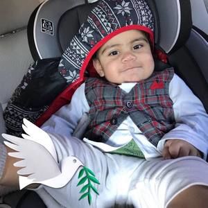 Meet your Posher, Mohammad